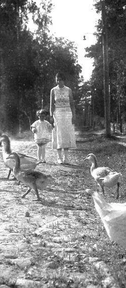 На Удельной Фото конца 1930х гг Читатель наверное уже догадался что - фото 326