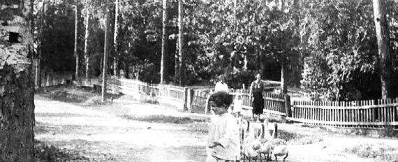 На Удельной Фото конца 1930х гг В 1939 году умер глава семейства Адольф - фото 328