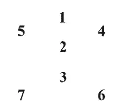 1 голова 2 сердце 3 желудок 4 правая рука 5 левая рука 6 - фото 13