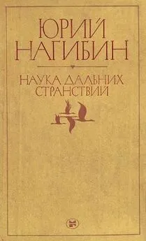 Юрий Нагибин - Что сказал бы Гамлет?