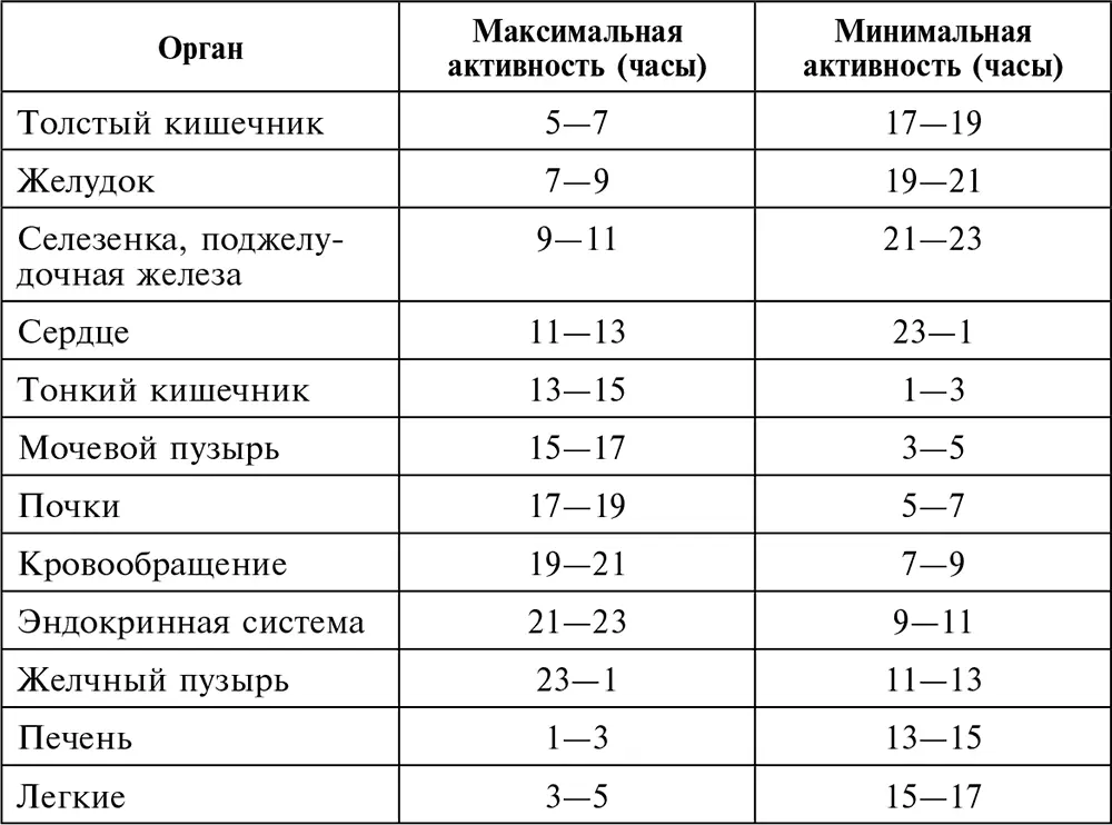 В этот же период начинает активно функционировать толстый кишечник с 5 до 7 - фото 64