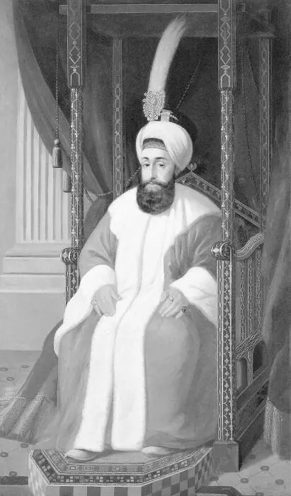Селим III Селим III заняв трон в возрасте 28 лет любил поэзию музыку и - фото 38