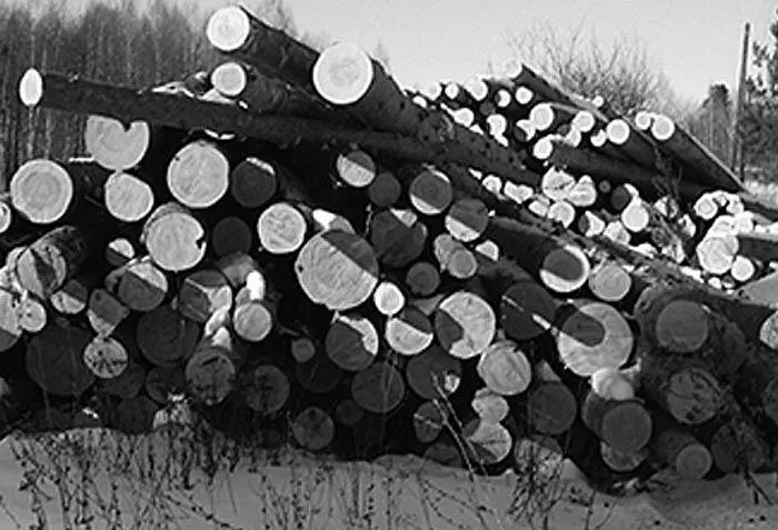 Что мне надо не знаю Вижу сидят две женщины Вид рабочий а глаза с - фото 438
