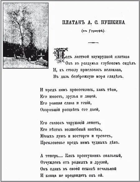 ВМ Сикевич Платан AC Пушкина в Гурзуфе В Сувалках Сикевич в 1902 году - фото 92