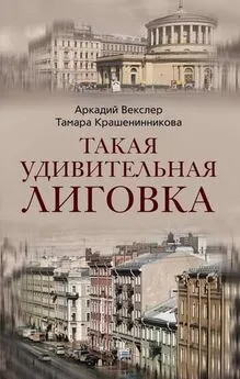 Аркадий Векслер - Такая удивительная Лиговка