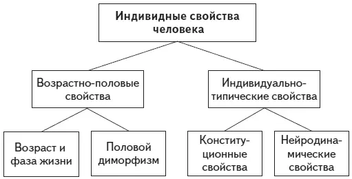 Рис 13 Индивидные свойства человека по Б Г Ананьеву Таким образом - фото 15