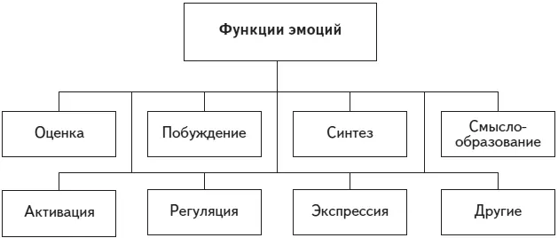 Рис 17 Функции эмоций Эмоции выполняя функцию оценки непосредственно в - фото 19