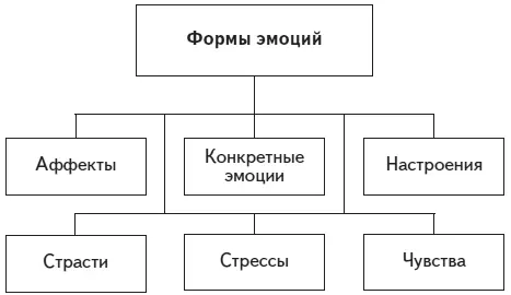 Рис 18 Формы эмоций Аффект сильное и относительно кратковременное - фото 20