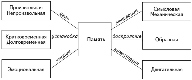 Рис 19 Виды памяти Взаимосвязь памяти с психическими образованиями Фиксация - фото 21