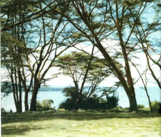 У озера Наиваша Саванна в национальном парке Самбуру Горное озеро в - фото 28