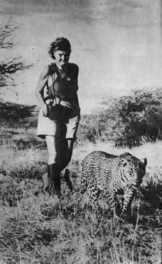 Джой со своей последней подопечной самкой леопарда Пенни Пятнистый - фото 42