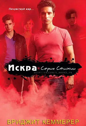 Оригинальное название Brigid Kemmerer Spark 2012 Бриджид Кеммерер Искра - фото 1