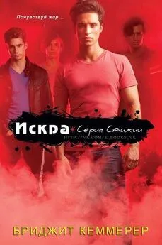 Бриджид Кеммерер - Искра (ЛП)