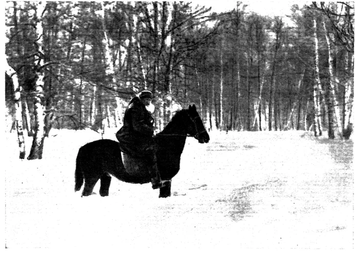 Л Н ТОЛСТОЙ ПИСЬМА 1910 январь апрель 1 Ф Василенко 1910 - фото 3