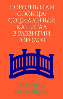 Леонид Полищук - Порознь или сообща. Социальный капитал в развитии городов