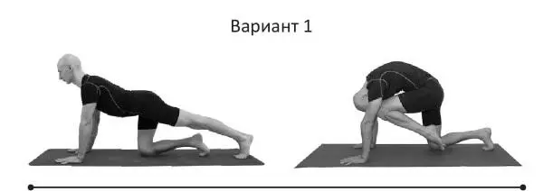 Йогатерапия Практическое руководство - фото 243