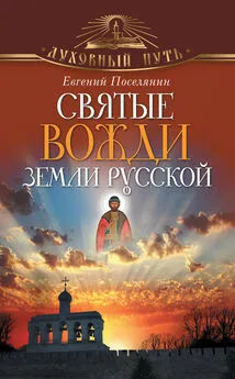 Евгений Поселянин - Святые вожди земли русской