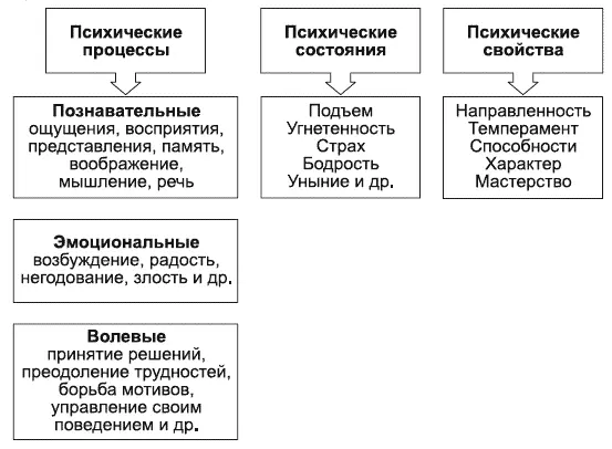 Рис 1Структура психических явлений Психические процессы выступают в качестве - фото 1