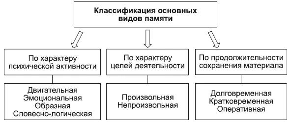 Рис 10Классификация основных видов памяти Двигательная или моторная - фото 10