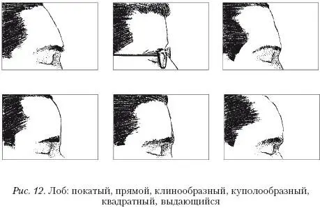 Упражнения 4 и 5предполагают с одной стороны закрепление знаний об общих и - фото 64