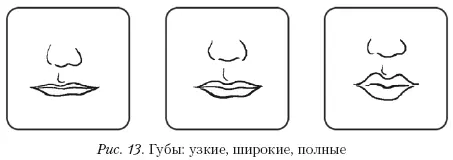 Упражнения 4 и 5предполагают с одной стороны закрепление знаний об общих и - фото 65