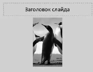 Рис 336Обрезанная фотография Работа с клипами Клипы в данном случае это - фото 407