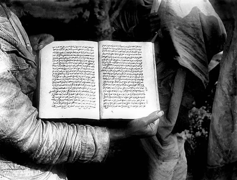 Книга ШейхГусейна Фотографии Н Л Сверчкова 1913 год Музей антропологии и - фото 71