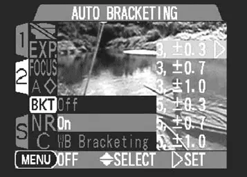 Рис 418Выбор шага автовилки в меню Bracketing Брекетинг Как получить - фото 76