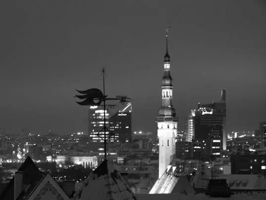 Рис 69Ночной вид снят с выдержкой 1 секунда при значении диафрагмы 32 Перед - фото 121