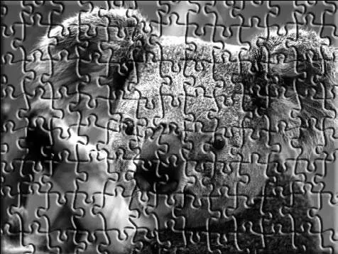 Рис 115Результат применения стиля Puzzle Пазл На данном рисунке видно что - фото 274