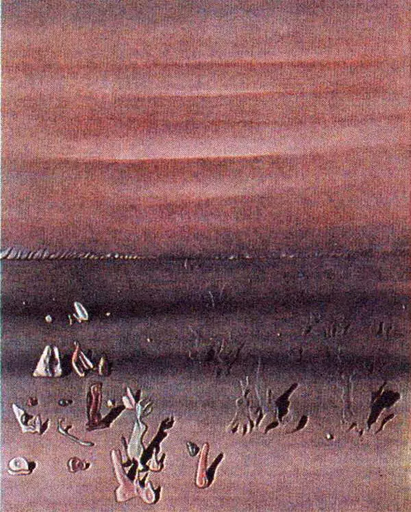 89 И Танги Край холма 1934 X м 8165 Частн собр 90 И Танги - фото 104