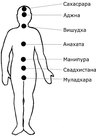 Рис 5 Муладхара красная самая нижняя из чакр изображенных на рисунке - фото 5