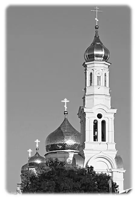 Купола Михаилу Шемякину Как засмотрится мне нынче как задышится - фото 27