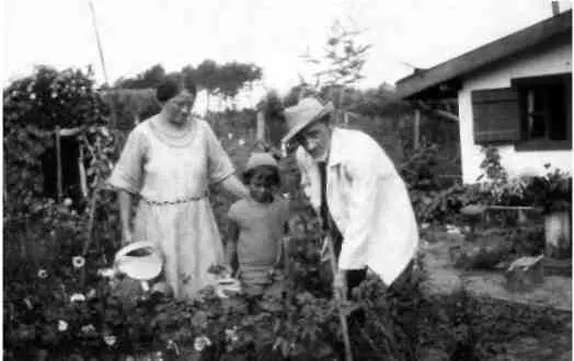 Капбретон Вилла Жаворонок Сбор урожая 1925 Каждый гриб имел свой мундир и - фото 8