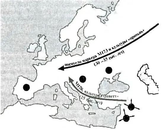 Схема заселения Европы Точками обозначены места где нашли убежище первые - фото 4