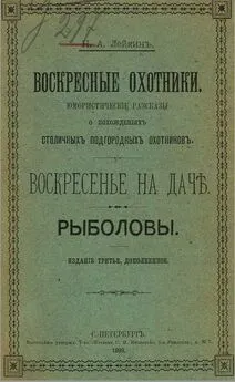 Николай Лейкин - Воскресные охотники