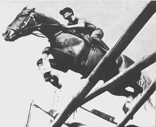 Точный расчет троеборца Фотоэтюд А Шторха Абсолютный чемпион орловской - фото 30