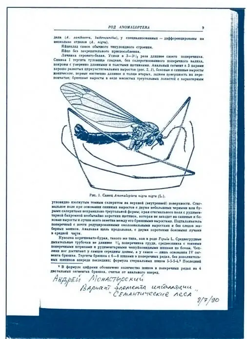 Андрей Монастырский Семантические леса Вариант фрагмента инсталляции - фото 22