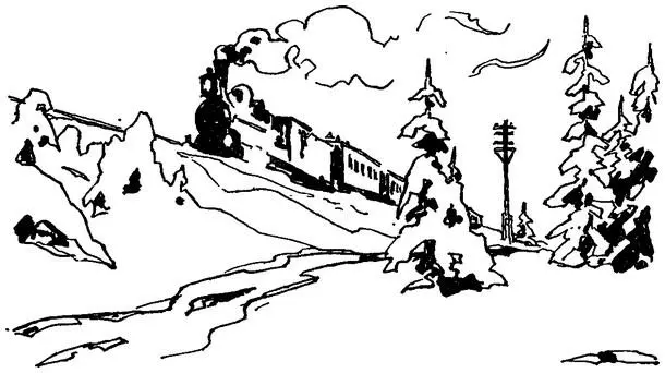 В вагоне третьего класса Большой кавказский поезд шел на Москву Навстречу - фото 2