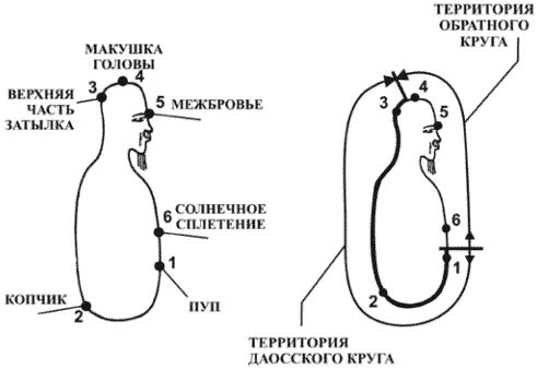 Рис22 Распределение микрокосмической орбиты между даосским кругом и обратным - фото 23