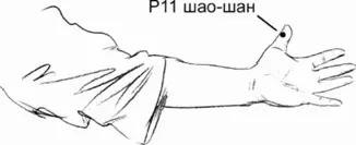 Рис 75 Расположение точки Шаошан точка 11 по каналу лёгких Она - фото 79