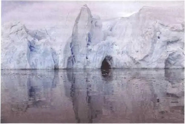 Ледяные поля Антарктиды Мы поднимаемся на борт по подозрительно тонкой и - фото 115