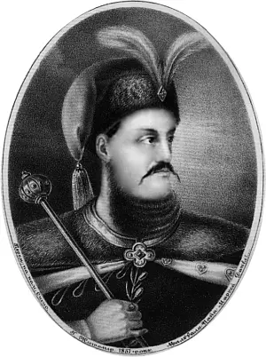 Гетман П Дорошенко Портрет XVII в Летом 1649 года Дорошенко уже был сотником - фото 38