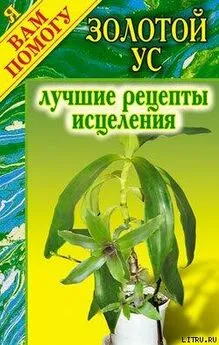 Дарья Нестерова - Золотой ус. Лучшие рецепты исцеления