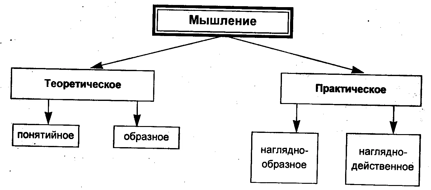 Основное различие между теоретическим и практическим видами мышления состоит в - фото 1