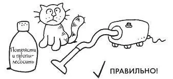 КОШКА БЕРЕМЕННАЯ Если у вас именно кошка ее беременности лучше избегать - фото 22