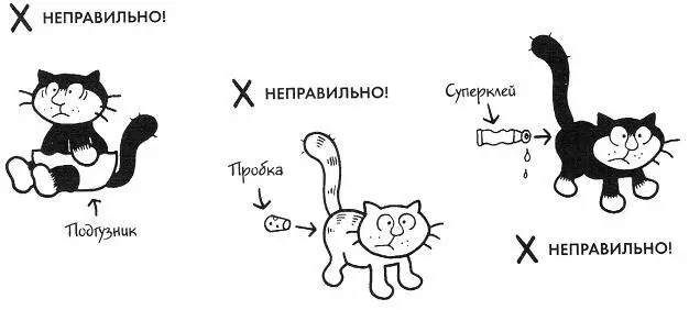 Если вы все же решили добиться своего можете заказать целую машину кошачьего - фото 25