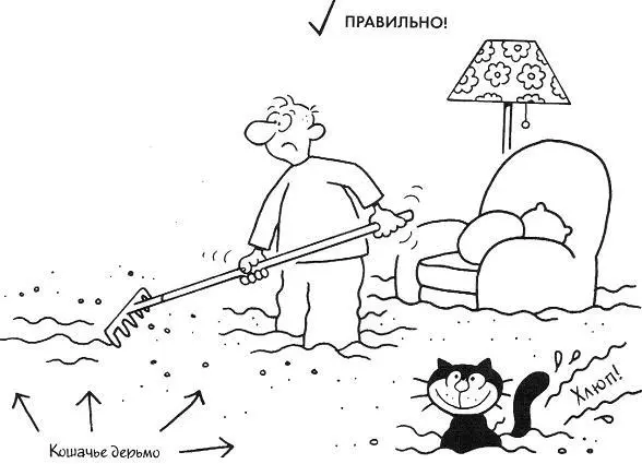БЛОХИ Проблема блох в том что стоит вам вывести одних как кошка немедленно - фото 26