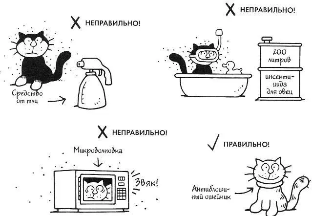 КОШКА ПРАЗДНОШАТАЮЩАЯСЯ Сказать что кошки и коты обожают вольные прогулки - фото 28