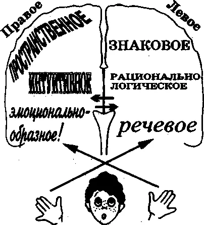 Рис 6 На рисунке условно обозначены основные типы мышления свойственные - фото 6